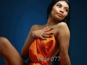 Vane_077