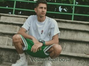 Velamikbarbosa