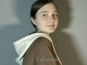 Vellumurr