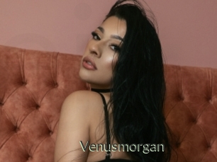 Venusmorgan