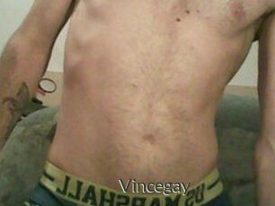 Vincegay
