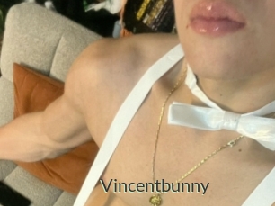 Vincentbunny