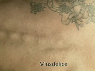 Vinsdelice