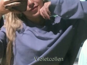 Violetcollen
