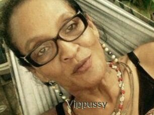 Vippussy