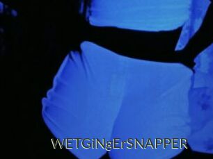 WETGiNgErSNAPPER