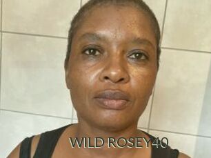 WILD_ROSEY40
