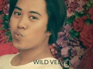 WILD_VELVET