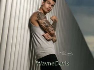 WayneDavis