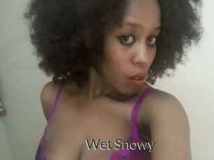 Wet_Snowy