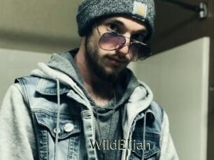 WildElijah