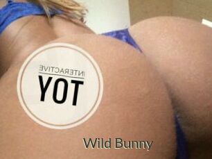 Wild_Bunny_