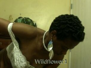 Wildflower1