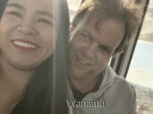 Wanamu
