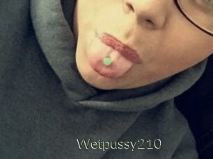 Wetpussy210