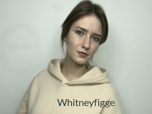 Whitneyfigge