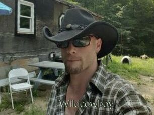 Wildcowboy