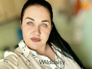 Wilddaisy