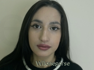 Wilonegorse