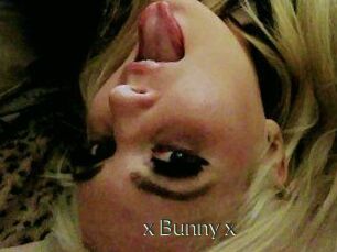 _x_Bunny_x_