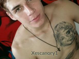 Xescanory1