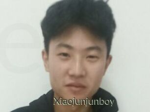 Xiaojunjunboy