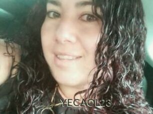 YECAOL23