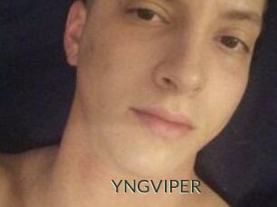 YNGVIPER