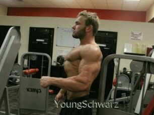 YoungSchwarz