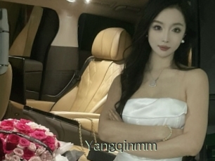 Yangqinmm
