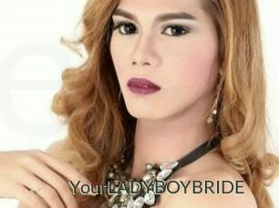 YourLADYBOYBRIDE