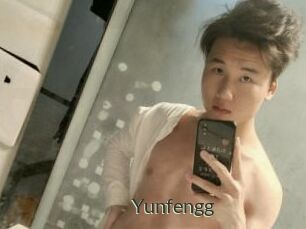 Yunfengg