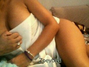 Zoeybird