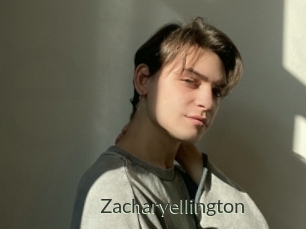 zacharyellington Ejaculator