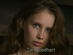 Zaragoodhart